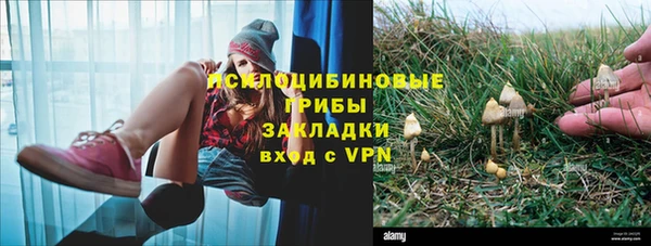 каннабис Алексеевка