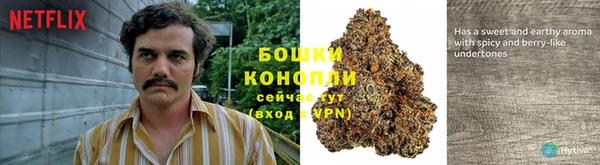 каннабис Алексеевка